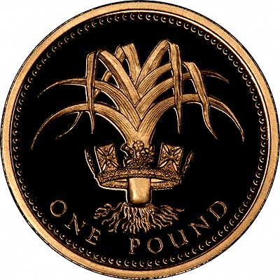 Welsh Leek on Reverse of 2008 Proof Gold One Pound Coin