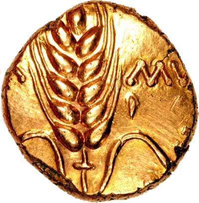 Obverse of Celtic Gold Stater of Cunobelin